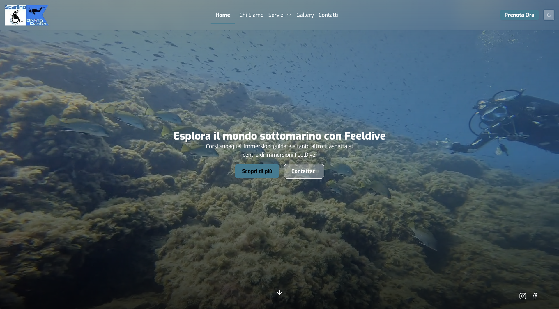 Feeldive diving center screenshot 1